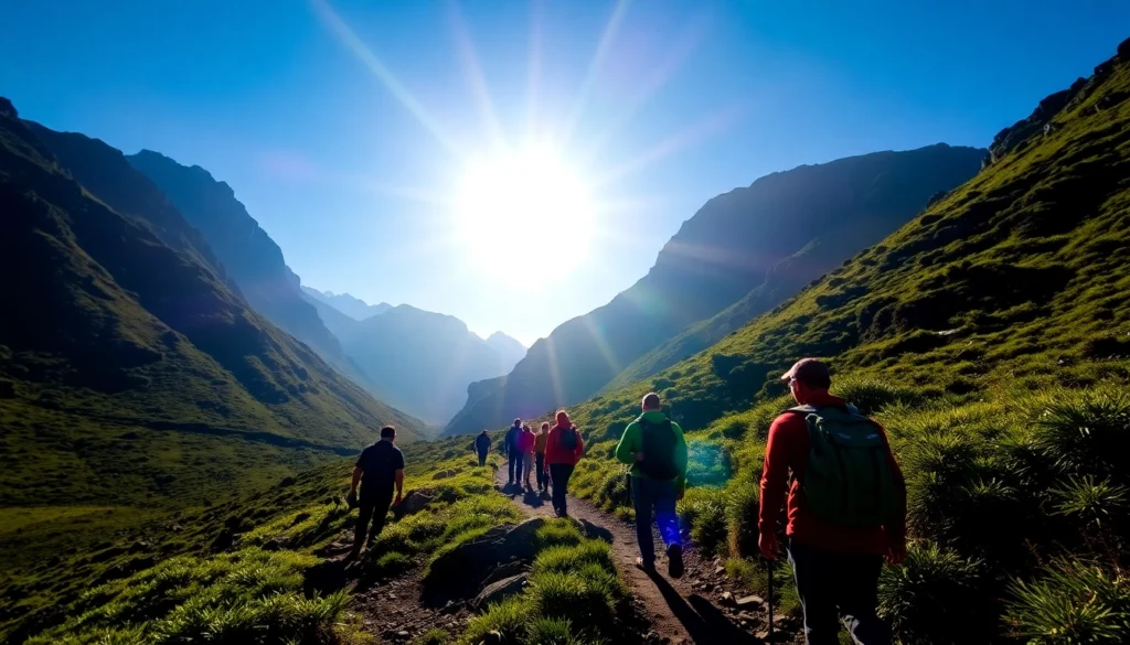 Guided trek through scenic mountain landscape with expert guides leading adventurers along a lush trail.